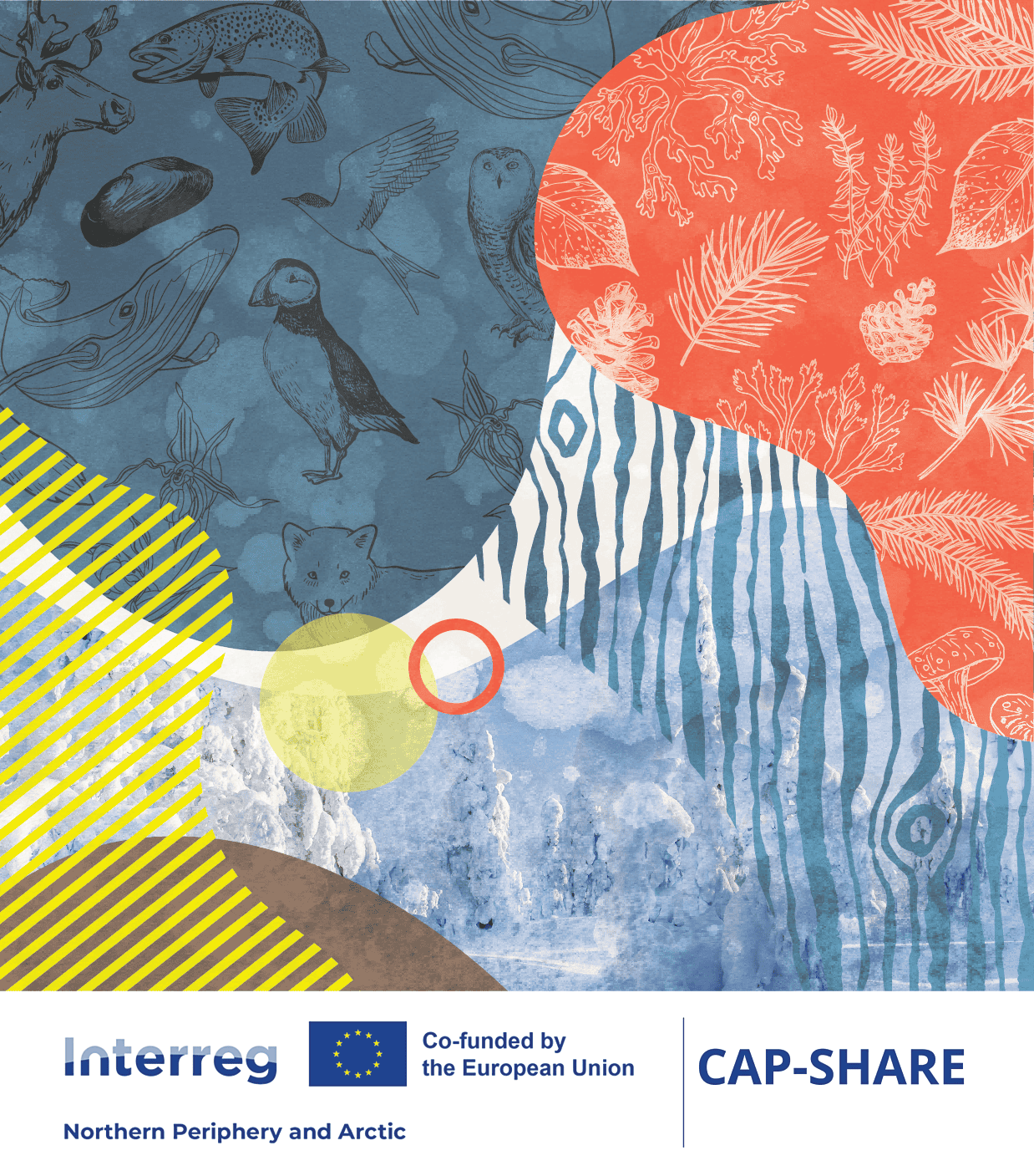 Arctic Frontiers - Abstract collage featuring animal sketches, colourful shapes, and the Arctic Frontiers - Capshare theme, with Interreg CAP-SHARE and EU logos at the bottom.