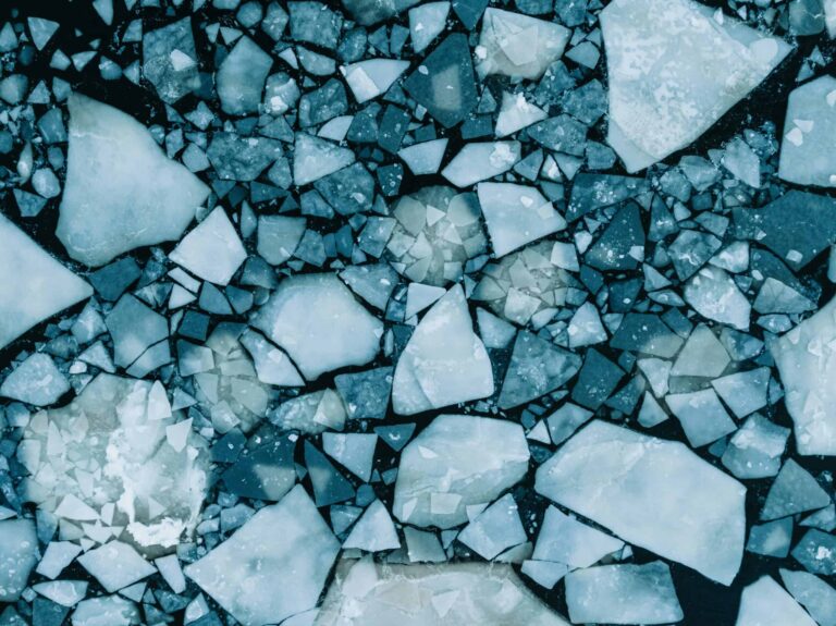 Arctic Frontiers - Tokyo seminar about collaboration across the arctic ocean