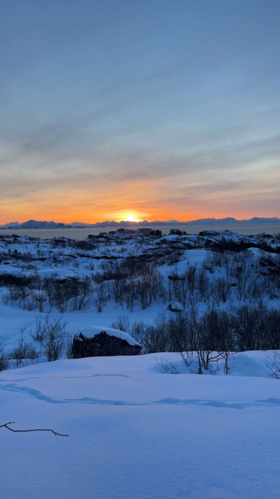 Arctic Frontiers - Sunset over a snowy landscape with distant mountains and bare trees under a clear sky.