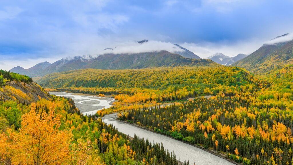 Arctic Frontiers - A winding river flows through a valley of yellow autumn trees, with mountains in the background under a cloudy sky.